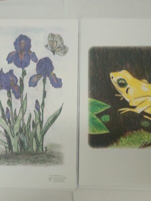 Lékařské desky do kartotéky